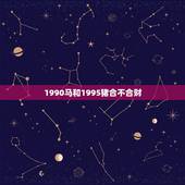 1990马和1995猪合不合财，1990属马1995属猪女婚配