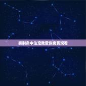 泰剧命中注定我爱你免费观看，泰版命中注定我爱你