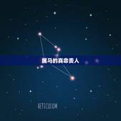 属马的真命贵人，2022 年属马的贵人生肖