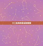 十二生肖的命运和婚姻，十二生肖配对婚姻准吗？