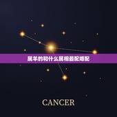 属羊的和什么属相最配婚配，属羊人婚配大吉属相是哪些