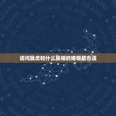 请问属虎和什么属相的婚姻最合适，属虎和属虎的婚姻好吗