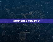 属虎的明年是不是60岁了，1962年男士那一年过六十