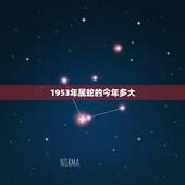 1953年属蛇的今年多大，1962年今年多大