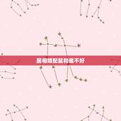 属相婚配鼠和谁不好，十二生肖鼠与什么生肖不宜婚配