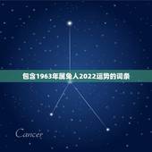 包含1963年属兔人2022运势的词条