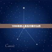 1990年的人是五行属什么的，1990年出生的人，在五行中属什么？
