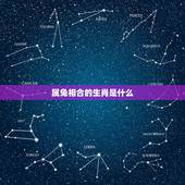 属兔相合的生肖是什么，属兔和哪个属相最合