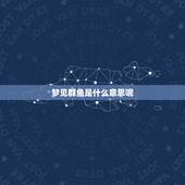梦见群鱼是什么意思呢，梦到好多的鱼是什么意思啊