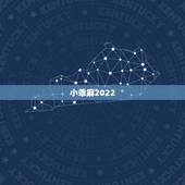 小乖麻2022.8月星座运势，小乖麻说一说未来十年天蝎座的运势