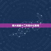 烟火璀璨十二月是什么属相，一到十二月五行分别属什么？