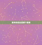属羊的后边是哪个属相，属羊的女生和哪个属相般配