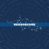 婚配里兔和哪生肖婚配，属兔的人和什么属相最配 属兔的人的属相婚配