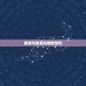 属猪与属龙的婚配如何，女属龙和男属猪配吗？属龙的和属猪的配？