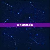 属相婚配羊和羊，属相婚配狗和羊相配吗？