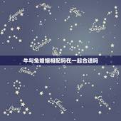 牛与兔婚姻相配吗在一起合适吗，马和狗属相合不合