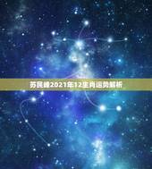 苏民峰2021年12生肖运势解析，2021生肖运势大解析 十二生肖