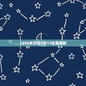 1990年农历5月13生男婚配，我是属猴的农历5月13生、可以和同年的