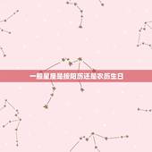 一般星座是按阳历还是农历生日，星座是按照农历的生日还是阳历的生日？