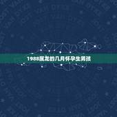 1988属龙的几月怀孕生男孩，1988属龙几月怀孕生女