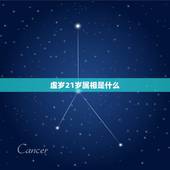 虚岁21岁属相是什么，今年21岁属相是什么
