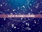 2021年1月30日属什么生肖属相，阳历2021年1月出生身份证上是什