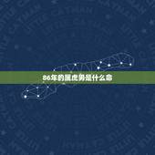 86年的属虎男是什么命，1986年是什么命 1986年出生的属虎人20