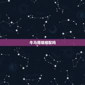 牛马婚姻相配吗，牛和马在一起对谁不利