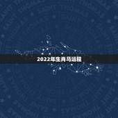 2022年生肖马运程，属马人2022年每月运势如何