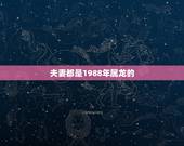 夫妻都是1988年属龙的，生肖年份对照表