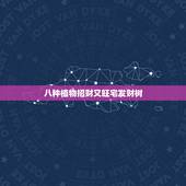 八种植物招财又旺宅发财树，发财树全身都是宝，种在家里旺风水，好吃好看还