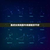 属虎女肖和属牛肖婚配好不好，属牛和属虎的人结婚好不好
