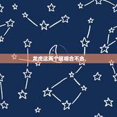 龙虎这两个属相合不合，龙和虎 属相真的不合吗 在一起真的会不好吗