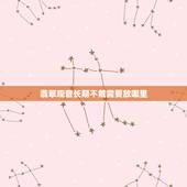 翡翠观音长期不戴需要放哪里，长期不佩戴的翡翠保养方法