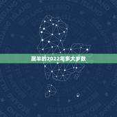 属羊的2022年多大岁数，2022属羊人全年运势女
