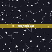 属猴白羊座运势，属猴的白羊座今年的运势爱情如何？