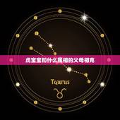 虎宝宝和什么属相的父母相克，适合生虎宝宝的父母属相