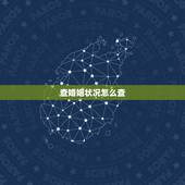 查婚姻状况怎么查，哪里可以查婚姻状况