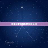 男龙与女鼠相配婚姻怎么样，属相婚配：男属龙和女属鼠相配吗？