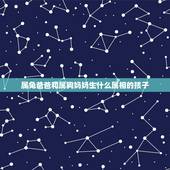 属兔爸爸和属狗妈妈生什么属相的孩子，属鼠爸爸与属虎妈妈生个什么属相宝宝