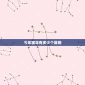 今年猪年有多少个属相，2019年是什么属相