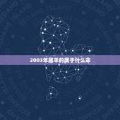 2003年属羊的属于什么命，2003年羊是什么命五行属什么