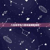 八五年牛与八四年鼠婚配如何，属牛的和属鼠的属相合吗？为什么？