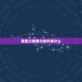 家里三根香分别代表什么，家里供佛应该烧几根香