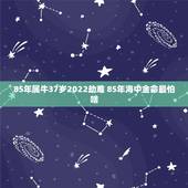 85年属牛37岁2022劫难 85年海中金命最怕啥