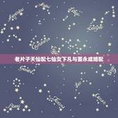 老片子天仙配七仙女下凡与董永成婚配，梗概《天仙配》中七仙女和董永的故事