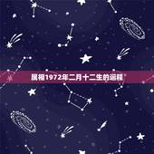 属相1972年二月十二生的运程，1972年2月12日农历腊月二十八日生