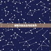 猪猴不到头白马犯青牛，羊鼠千万别在一起