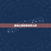 属相土狗的命运怎么样，小土狗怎么养，每天吃什么？