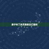 庚子年丁亥月庚辰日乙酉时，2022 年是庚子年吗